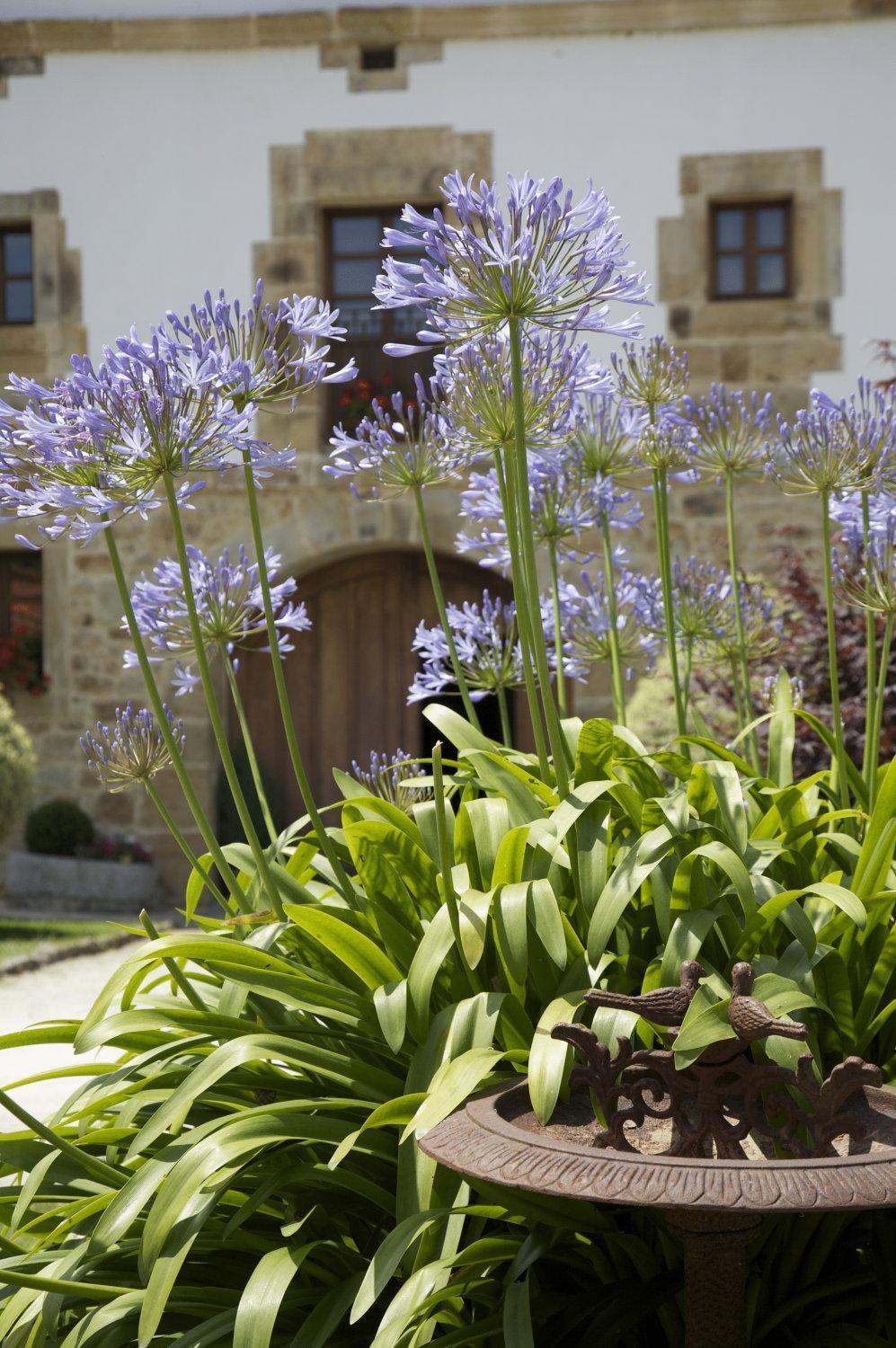 Hotel Casona De San Pantaleón de Aras Exterior foto